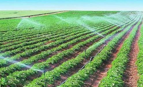 大鸡巴操骚b视频农田高 效节水灌溉